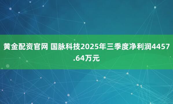 黄金配资官网 国脉科技2025年三季度净利润4457.64万元