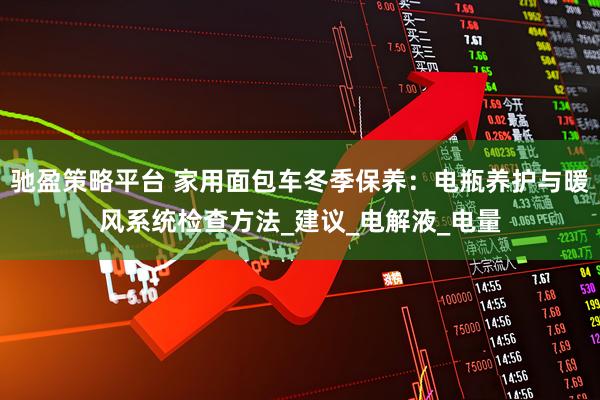 驰盈策略平台 家用面包车冬季保养：电瓶养护与暖风系统检查方法_建议_电解液_电量