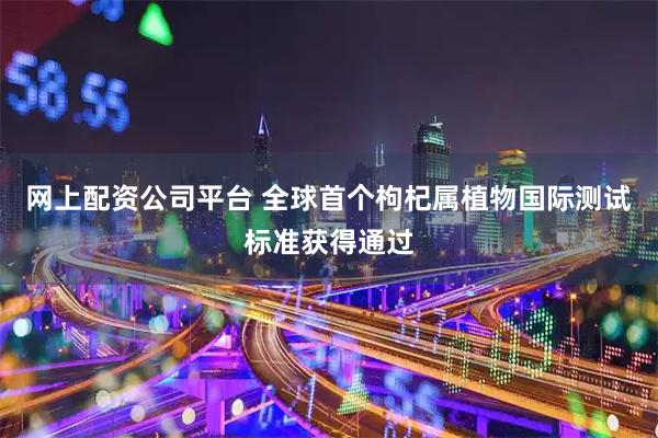 网上配资公司平台 全球首个枸杞属植物国际测试标准获得通过