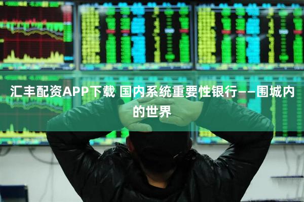 汇丰配资APP下载 国内系统重要性银行——围城内的世界